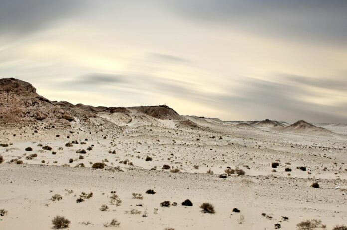 Dakhla national park Dakhla national park