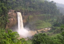 Ekom Nkam Waterval is het natuurspektakel van Kameroen Ekom Nkam Waterval