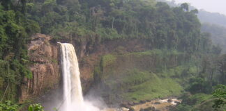 Ekom Nkam Waterval is het natuurspektakel van Kameroen Ekom Nkam Waterval