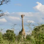 Kissama National Park