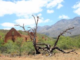 Olifantshoek is een verrassend rustige uitvalsbasis in de Kalahari Olifantshoek