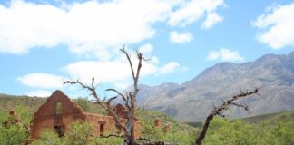 Olifantshoek is een verrassend rustige uitvalsbasis in de Kalahari Olifantshoek