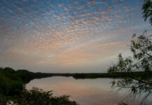 Parc National du Bafing Parc National du Bafing