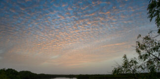 Parc National du Bafing Parc National du Bafing