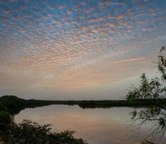 Parc National du Bafing Parc National du Bafing