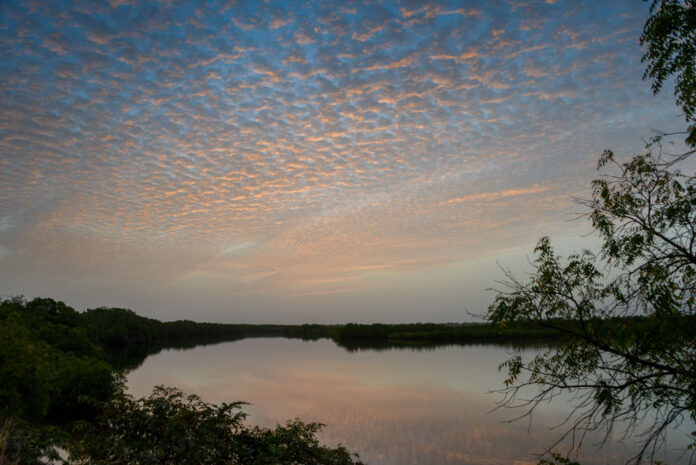 Parc National du Bafing Parc National du Bafing