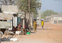 Richard Toll: suikervelden ontmoeten de rivier Richard Toll