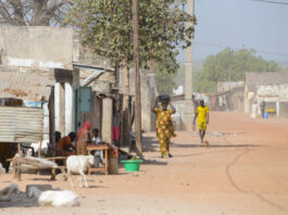 Richard Toll: suikervelden ontmoeten de rivier Richard Toll