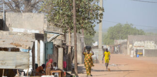 Richard Toll: suikervelden ontmoeten de rivier Richard Toll