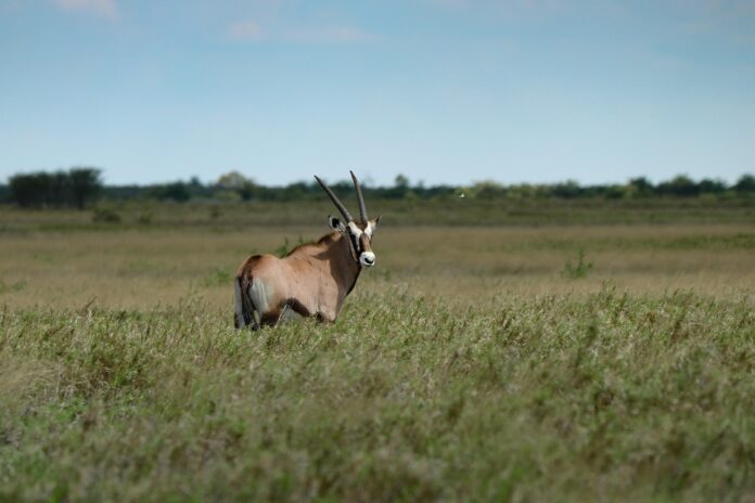 Anysberg Zuid Afrika