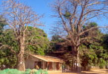 Bandjikaky – het kruispunt naar Niafrang Bandjikaky het kruispunt naar Niafrang