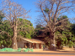 Bandjikaky – het kruispunt naar Niafrang Bandjikaky het kruispunt naar Niafrang