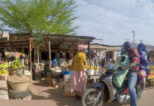 Conakry – Ritme, energie en rauwe charme Conakry Guinee