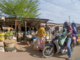 Conakry – Ritme, energie en rauwe charme Conakry Guinee
