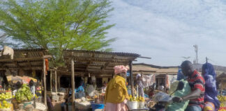 Conakry – Ritme, energie en rauwe charme Conakry Guinee