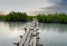 Een korte geschiedenis van Senegal Geschiedenis van Senegal