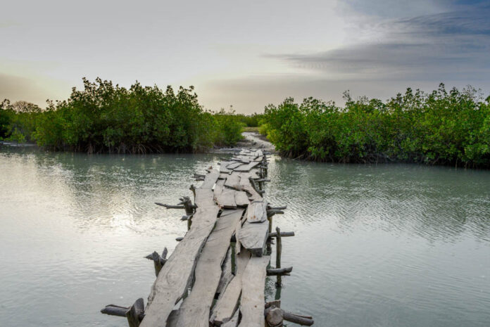 Geschiedenis van Senegal Geschiedenis van Senegal