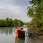 Kalissaye Avifaunal Reserve Senegal