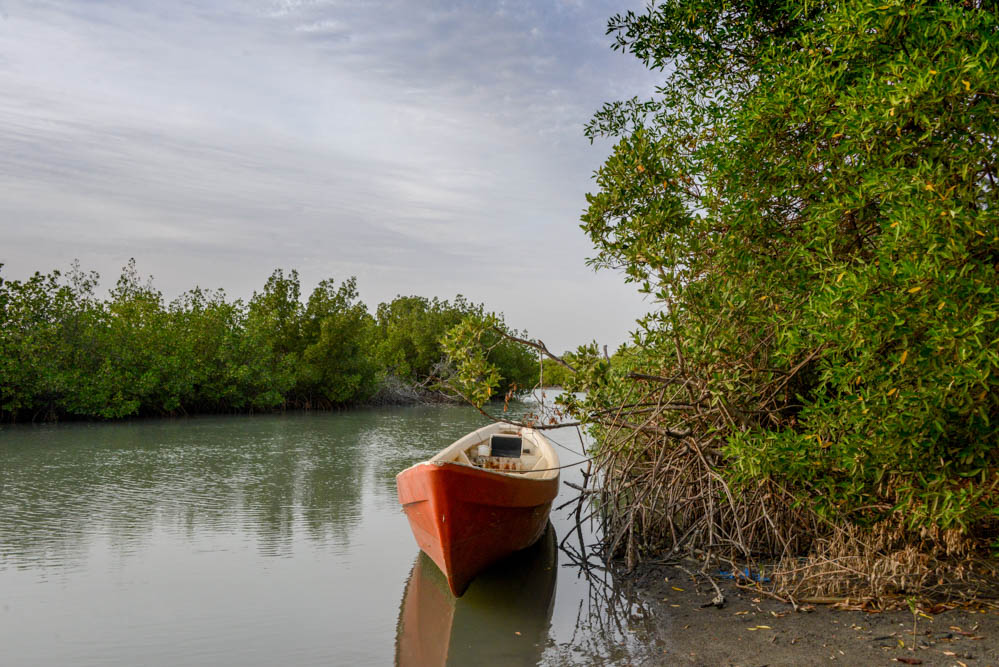 Kalissaye Avifaunal Reserve Senegal