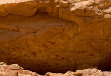 Verborgen kunstschatten in het hart van Tsjaad: de rotstekeningen van het Ennedi-plateau Rotstekeningen Eneddi Tsjaad
