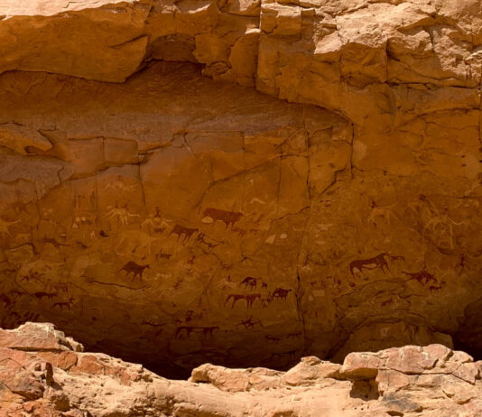 Verborgen kunstschatten in het hart van Tsjaad: de rotstekeningen van het Ennedi-plateau Rotstekeningen Eneddi Tsjaad