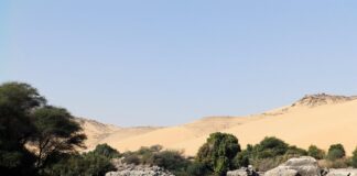 De Nijl na de dam – Hoe de Aswandam Egypte voorgoed veranderde Aswandam Egypte