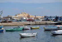 In Alexandrië komen geschiedenis en kennis samen Alexandrië Egypte