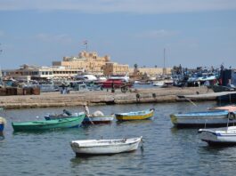 In Alexandrië komen geschiedenis en kennis samen Alexandrië Egypte