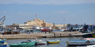 In Alexandrië komen geschiedenis en kennis samen Alexandrië Egypte