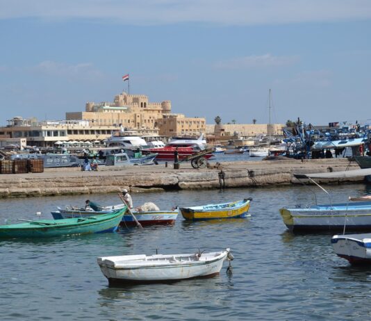 In Alexandrië komen geschiedenis en kennis samen Alexandrië Egypte