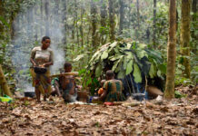 Leven in het regenwoud van Centraal-Afrika met de Baka Baka