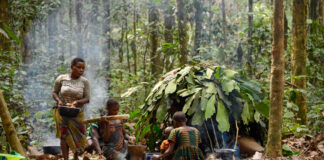 Leven in het regenwoud van Centraal-Afrika met de Baka Baka