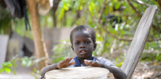 Djembé: het ritme van West-Afrika dat de wereld veroverde Djembé Senegal