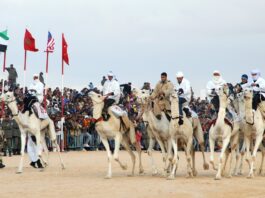 Douz en de magie van de woestijn Douz Tunesie