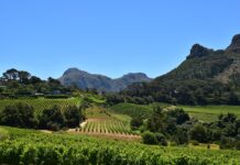 Reizen langs de Garden Route in Zuid-Afrika Garden Route Zuid Afrika