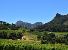 Reizen langs de Garden Route in Zuid-Afrika Garden Route Zuid Afrika