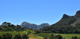 Reizen langs de Garden Route in Zuid-Afrika Garden Route Zuid Afrika