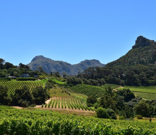 Reizen langs de Garden Route in Zuid-Afrika Garden Route Zuid Afrika