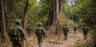 Senegal start militaire operatie in Casamance na dodelijke confrontaties Militaire operatie Senegal