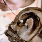 Pearl Luggers Museum Broome