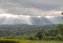 Rwenzori Mountains: trekking door Afrika’s mysterieusste gebergte Rwenzori Mountains
