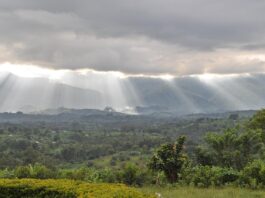 Rwenzori Mountains: trekking door Afrika’s mysterieusste gebergte Rwenzori Mountains
