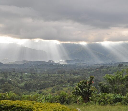Rwenzori Mountains: trekking door Afrika’s mysterieusste gebergte Rwenzori Mountains