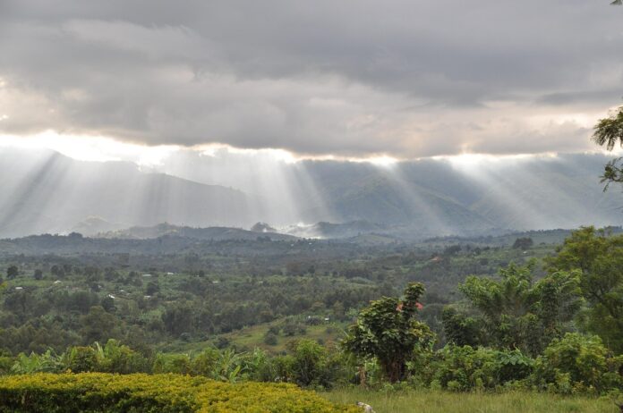 Rwenzori Mountains