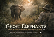 De mysterieuze olifanten van Angola olifanten van Angola