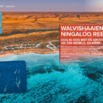 Artikel-Azië-Magazine-voorjaar-2026