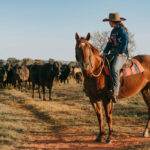 Cattle farm Australia