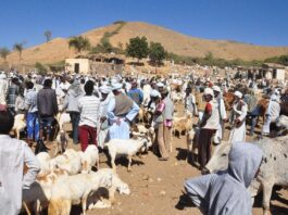 Eritrea: een verborgen mozaïek van culturen aan de Rode Zee Eritrea