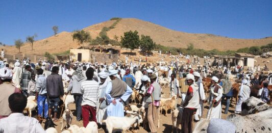 Eritrea: een verborgen mozaïek van culturen aan de Rode Zee Eritrea