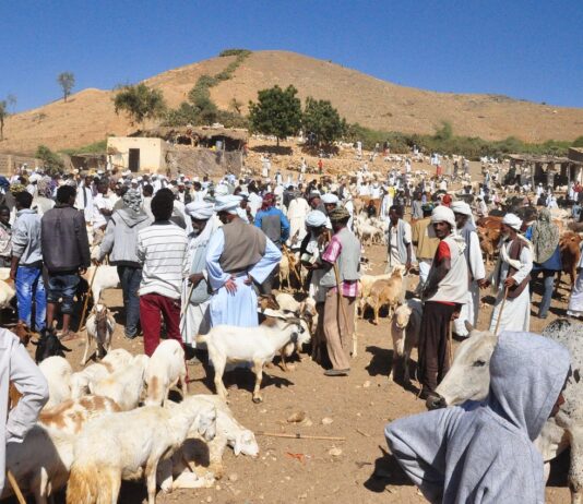 Eritrea: een verborgen mozaïek van culturen aan de Rode Zee Eritrea